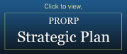 PRORP Strategic Plan Image