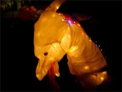 Image of a Lighted Dragon Boat