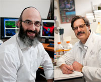 Dr. Arthur Brown (Left) and Dr. Gregory Dekaban (Right)