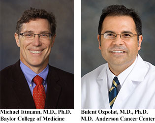 Drs. Michael Ittmann and Bulent Ozpolat