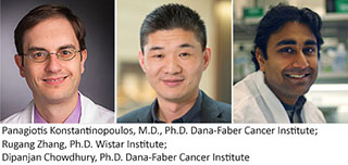 Drs. Konstantinopoulos, Zhang, and Chowdhury
