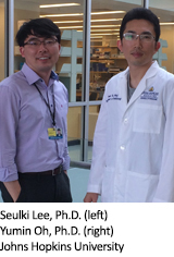 Seulki Lee, Ph.D.