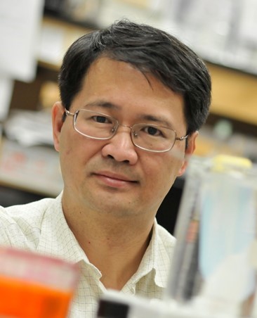  Lizhong Wang, Ph.D., University of Alabama, Birmingham
