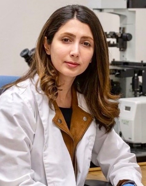 Dr. Mahsa Zarei 