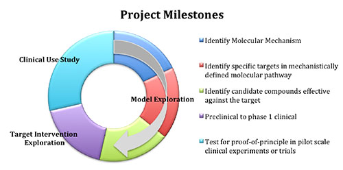 Project Milestones