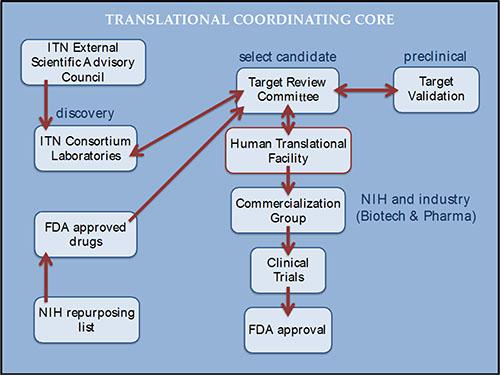 Translational Coordinating Core