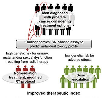 A predictive assay based on genetics could be used to identify the subset of patients at increased risk of developing adverse effects. These patients could be candidates for a non-radiation treatment, such as surgery, or active surveillance. Patients who do not have a genetic predisposition to adverse effects could receive a higher dose to increase likelihood of  curing their cancer.