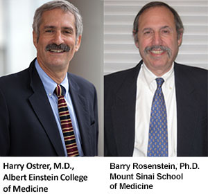 Drs. Harry Ostrer and Barry Rosenstein
