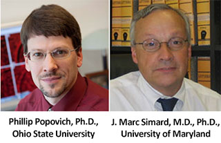 Drs. Phillip Popovich and J. Marc Simard