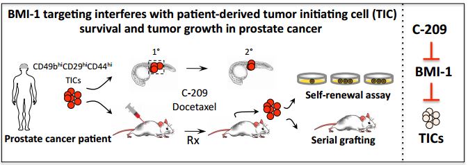 Combinatorial effect of a MDA-7/IL-24-producting cancer terminator virus, Ad.tCCN1-CTV-m7, and small molecule inhibitor of Mcl-1, BI-97D6, in eradicating local and metastatic prostate cancer