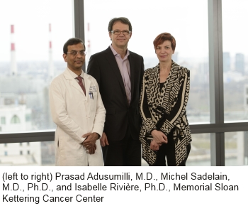 Drs. Adusumilli, Sadelain, and Riviere