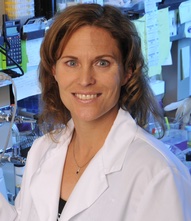 Sheila Stewart, Ph.D., Washington University in St. Louis, School of Medicine