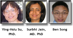 Ying-Hsiu Su, PhD (PI, left), Surbhi Jain, MD., PhD (postdoctoral fellow, middle), Benjamin Song (student intern, right)