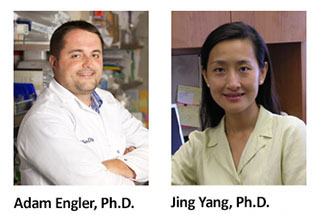 Drs. Jing Yang and Adam Engler