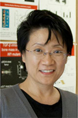 Feng-Chun Yang, M.D., Ph.D.